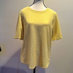 I.N Studio Petite Women’s Short Sleeve Blouse Size Petite XL Like new condition